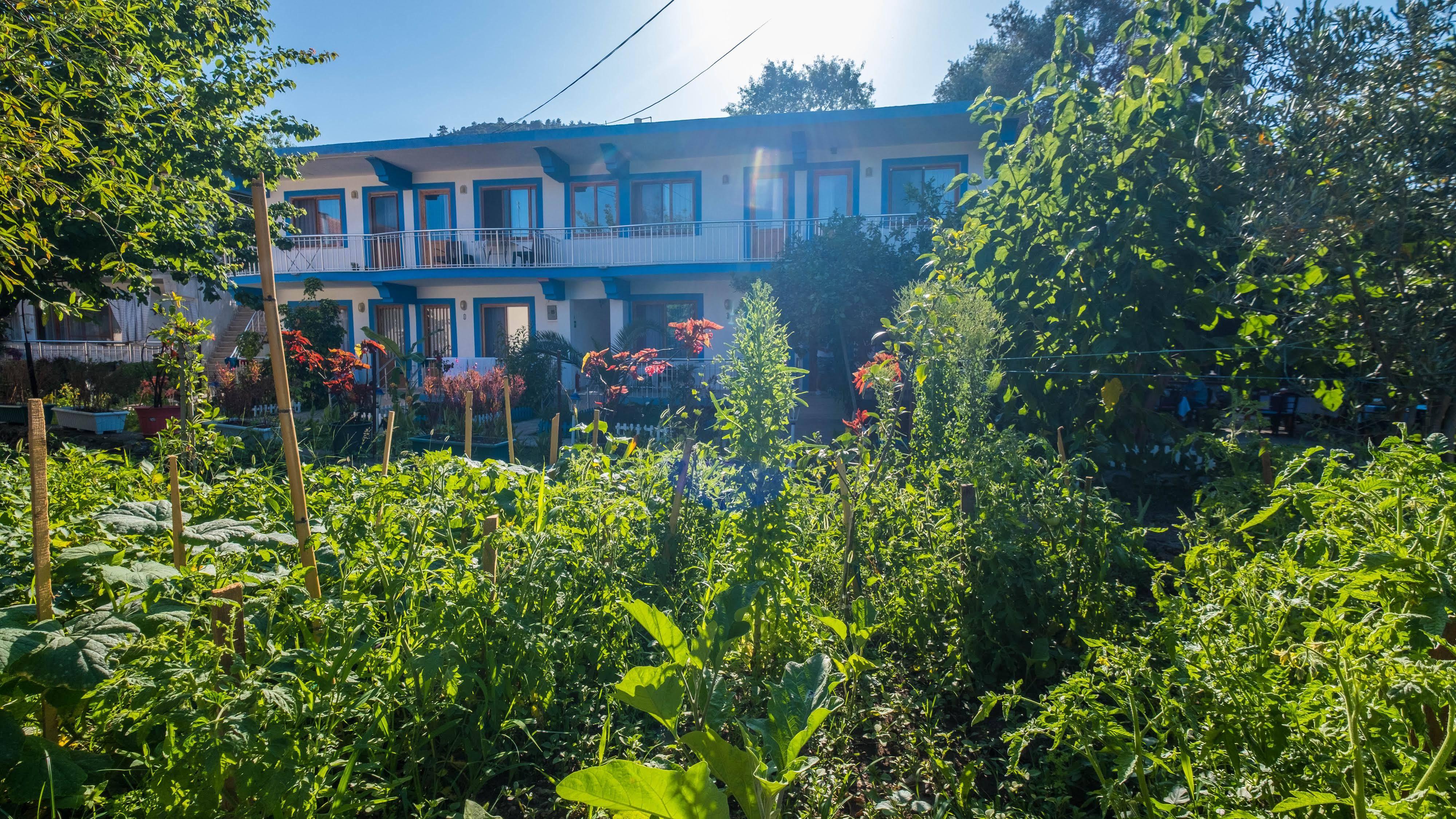 Balalayka Butik Otel Muğla Bagian luar foto